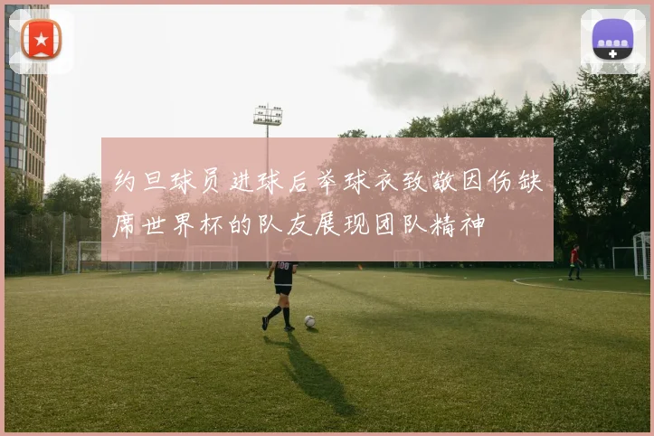 约旦球员进球后举球衣致敬因伤缺席世界杯的队友展现团队精神