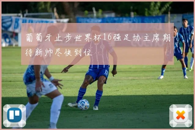 葡萄牙止步世界杯16强足协主席期待新帅尽快到位